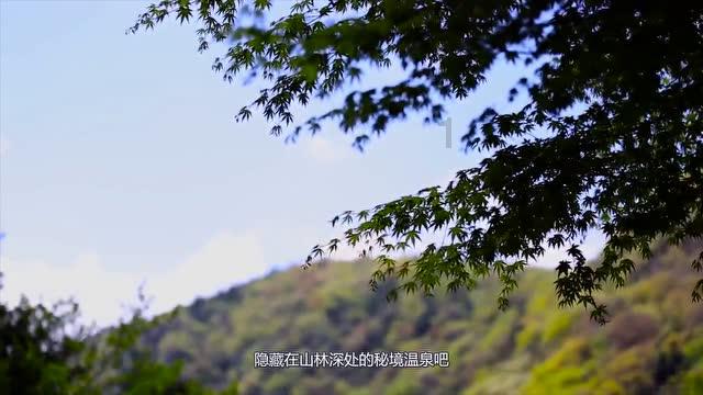 僵尸躲避战